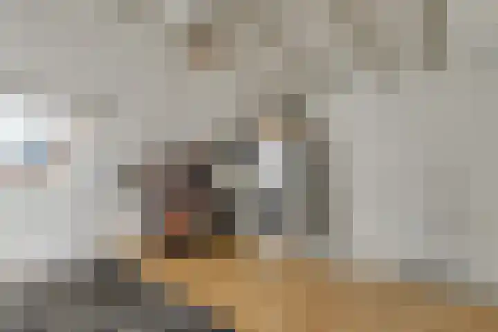 Kolgans 37 Nibbixwoud thumbnail 39