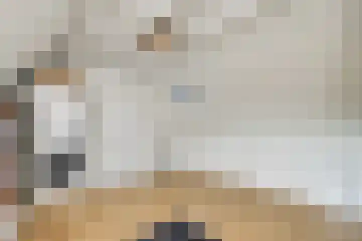 Kolgans 37 Nibbixwoud thumbnail 41