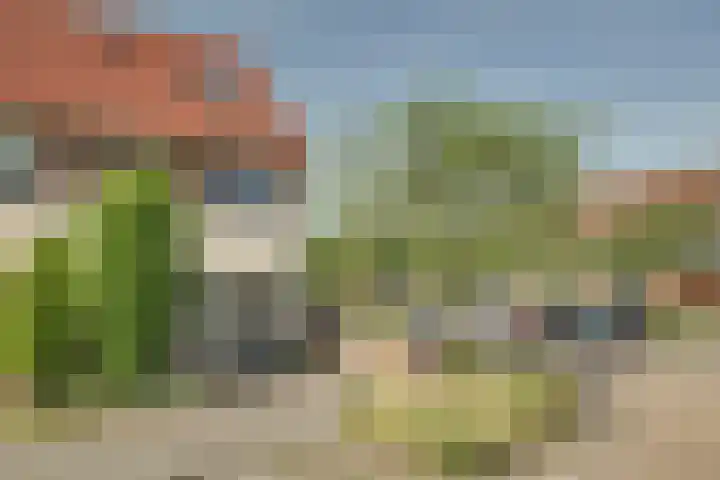 Kolgans 37 Nibbixwoud thumbnail 42