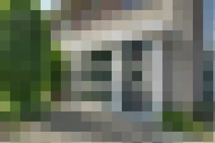 Kolgans 37 Nibbixwoud thumbnail 43