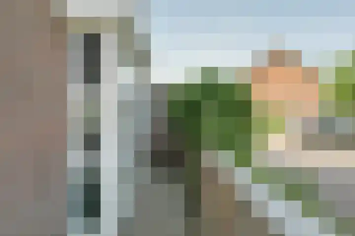 Kolgans 37 Nibbixwoud thumbnail 44