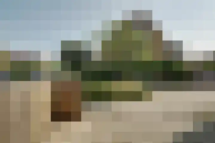 Kolgans 37 Nibbixwoud thumbnail 46