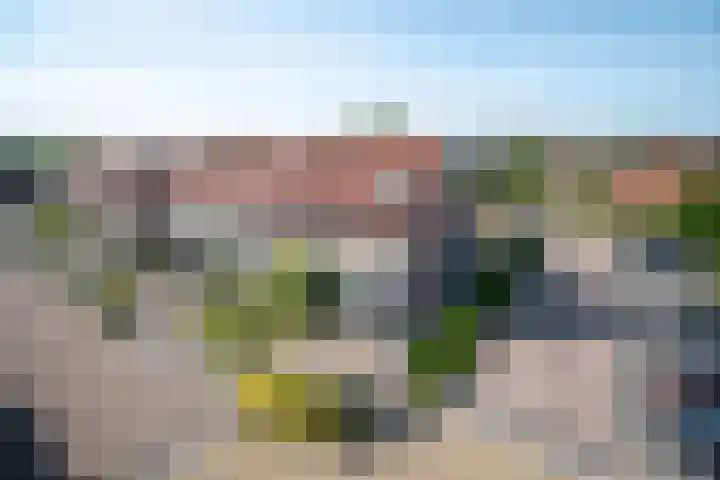 Kolgans 37 Nibbixwoud thumbnail 47
