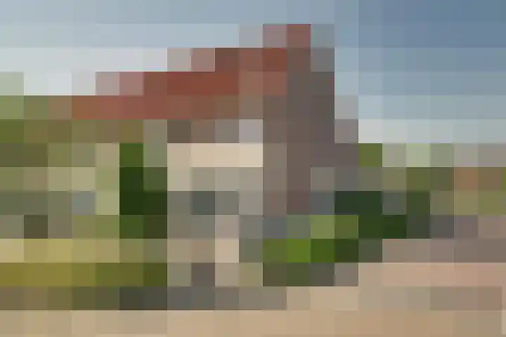 Kolgans 37 Nibbixwoud thumbnail 48