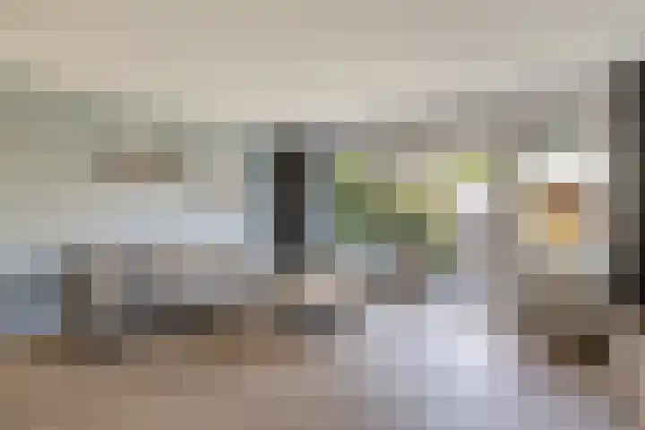 Kolgans 37 Nibbixwoud thumbnail 6