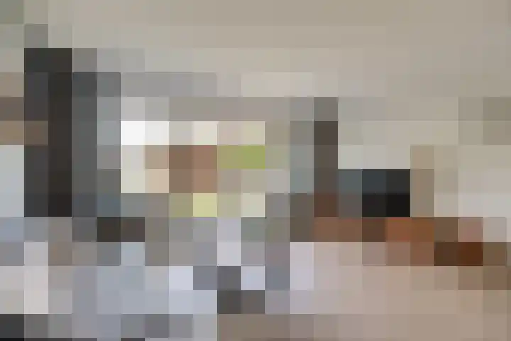 Kolgans 37 Nibbixwoud thumbnail 7