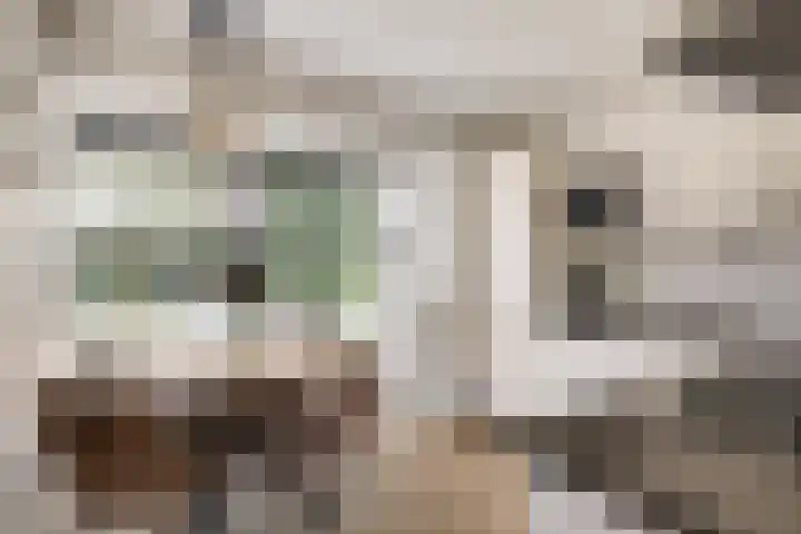 Kolgans 37 Nibbixwoud thumbnail 8