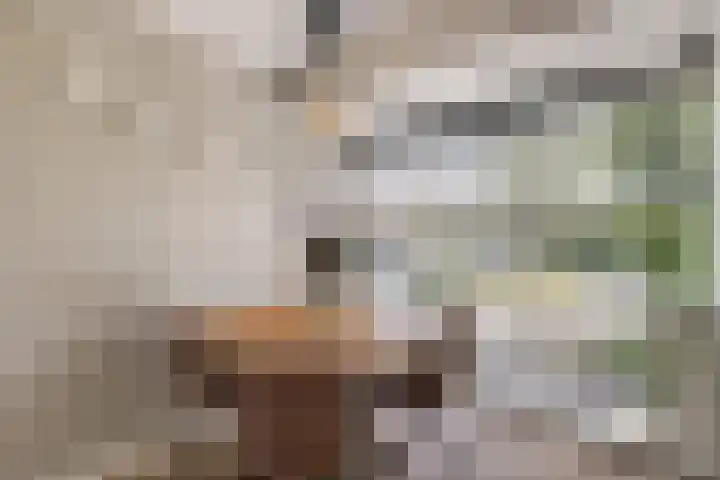 Kolgans 37 Nibbixwoud thumbnail 9