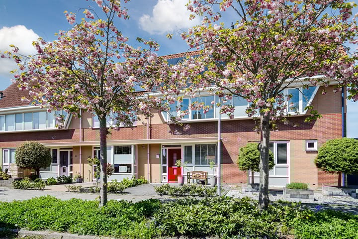 Kolgans 65 in Nibbixwoud foto