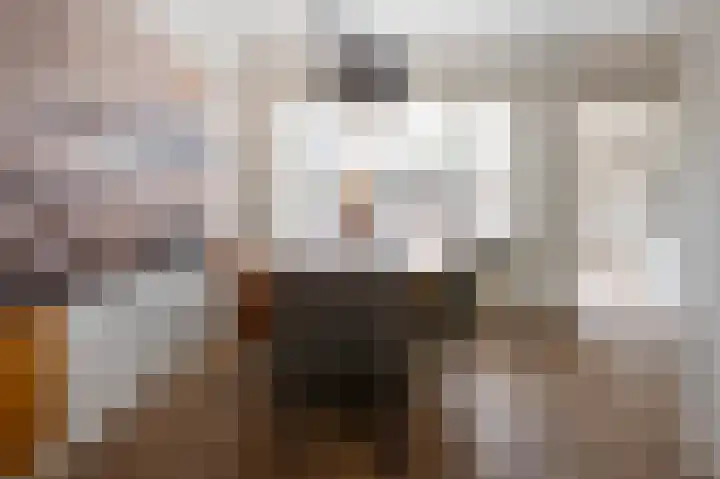 Kolgans 7 Emmen thumbnail 10