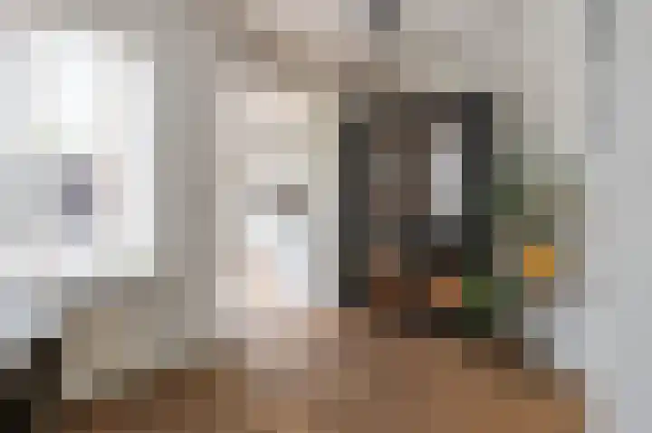 Kolgans 7 Emmen thumbnail 11