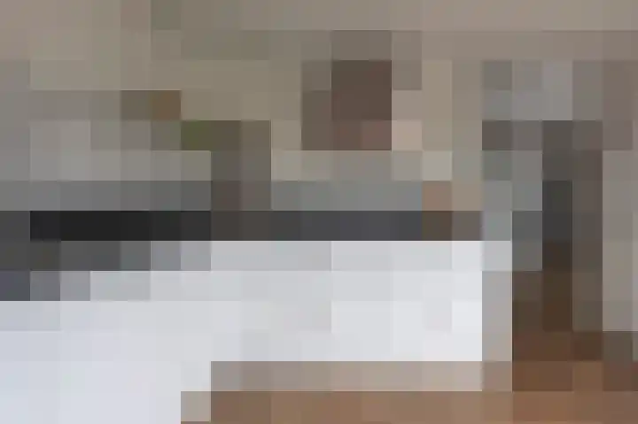Kolgans 7 Emmen thumbnail 12