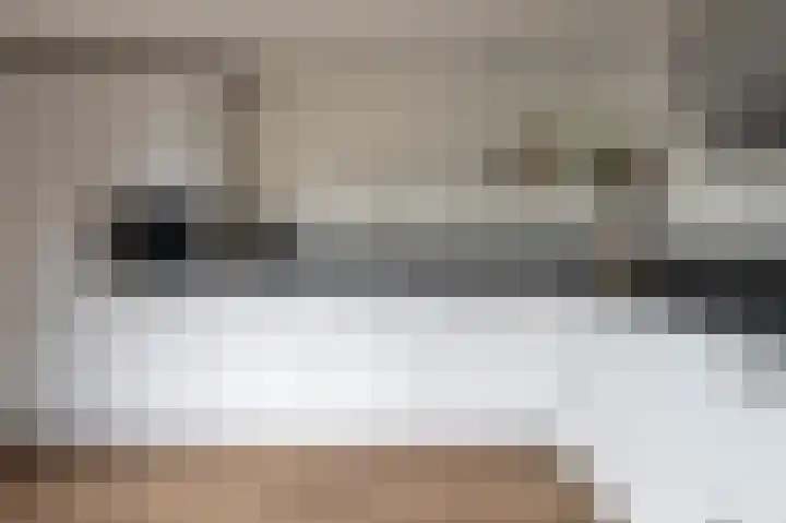 Kolgans 7 Emmen thumbnail 13