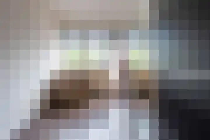 Kolgans 7 Emmen thumbnail 21