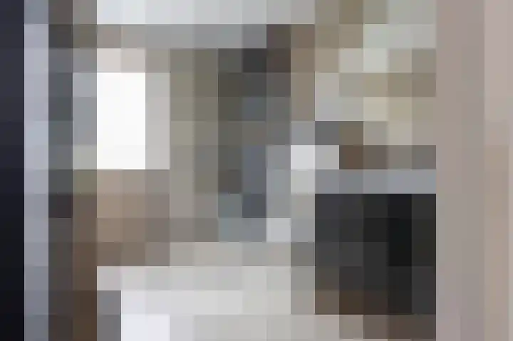 Kolgans 7 Emmen thumbnail 22