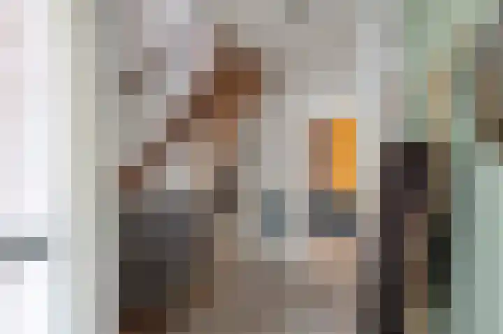 Kolgans 7 Emmen thumbnail 24