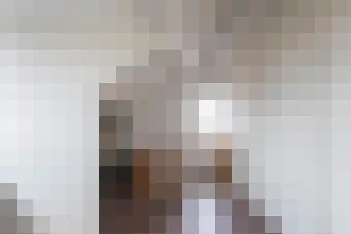 Kolgans 7 Emmen thumbnail 25
