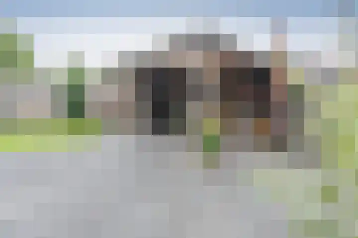 Kolgans 7 Emmen thumbnail 28