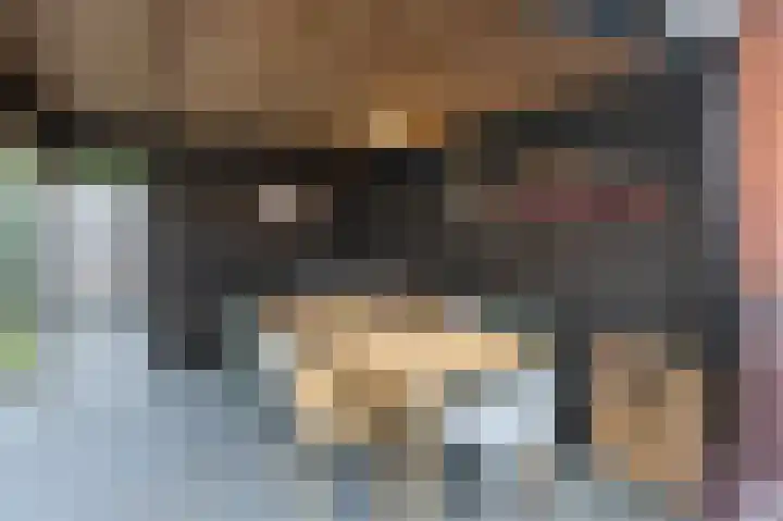 Kolgans 7 Emmen thumbnail 29