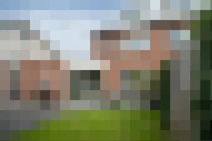 Kolgans 7 Emmen thumbnail 32