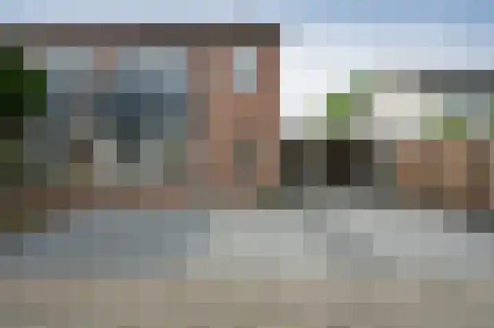 Kolgans 7 Emmen thumbnail 35