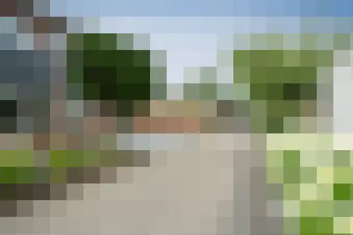 Kolgans 7 Emmen thumbnail 36