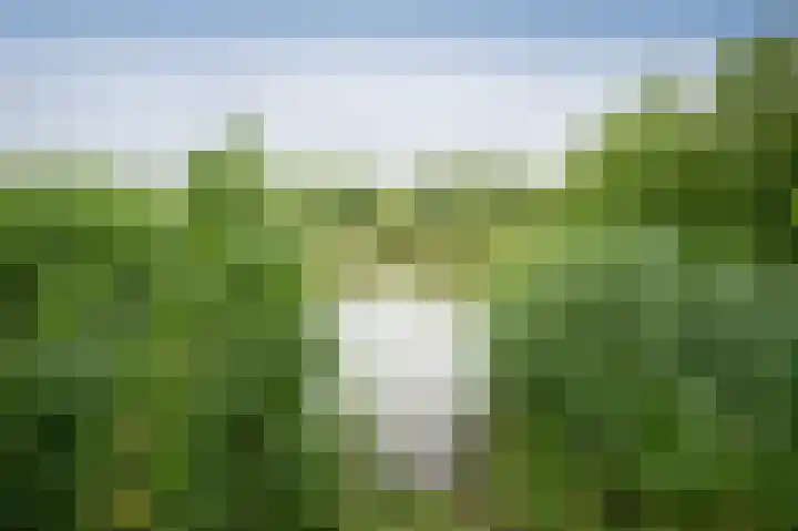 Kolgans 7 Emmen thumbnail 37