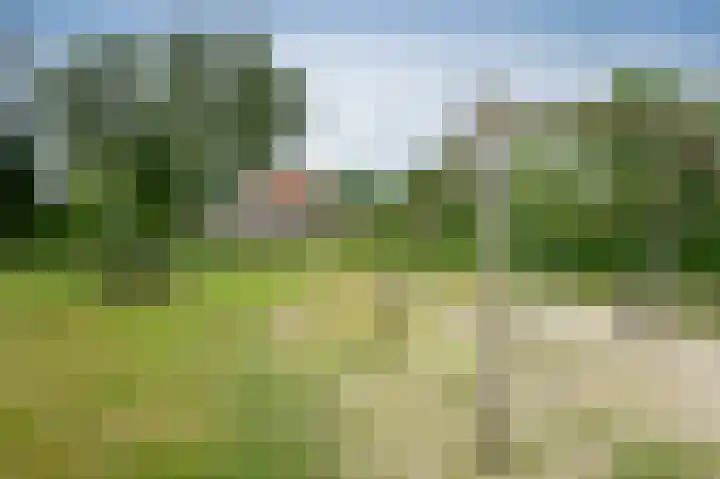 Kolgans 7 Emmen thumbnail 38