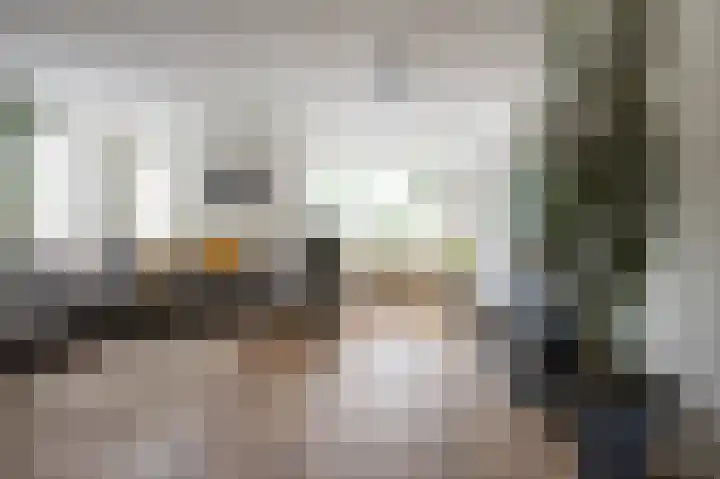 Kolgans 7 Emmen thumbnail 4