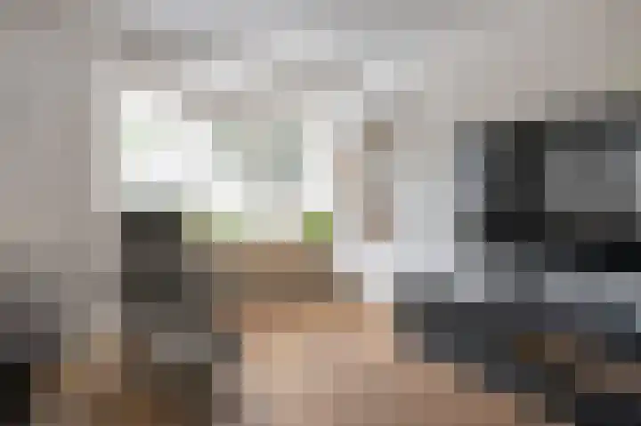 Kolgans 7 Emmen thumbnail 5