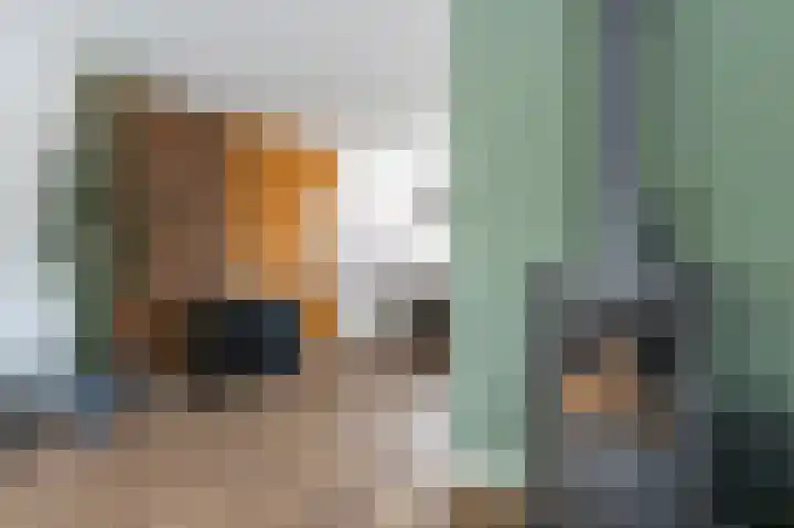 Kolgans 7 Emmen thumbnail 6