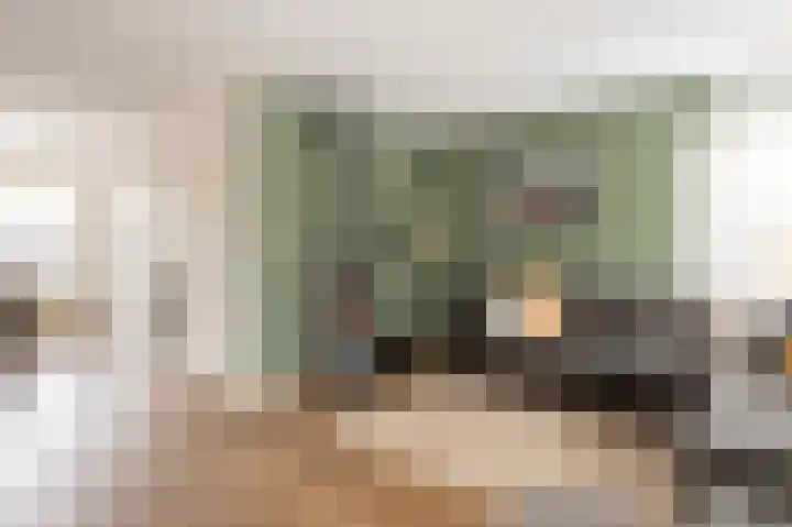 Kolgans 7 Emmen thumbnail 7