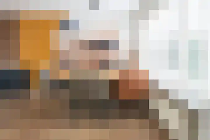 Kolgans 7 Emmen thumbnail 9