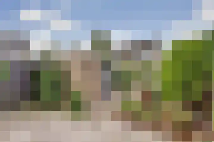 Kolgansstraat 8 Strijen thumbnail 32