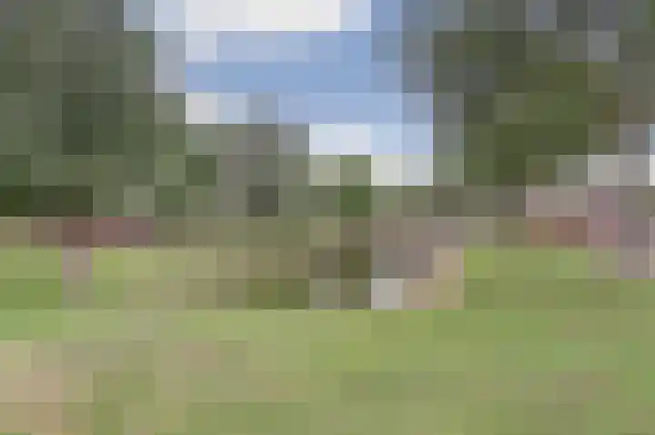 Kolgansstraat 8 Strijen thumbnail 36