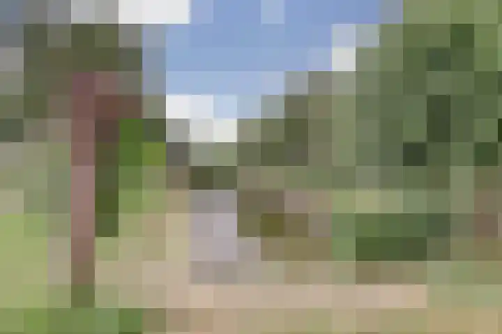 Kolgansstraat 8 Strijen thumbnail 37