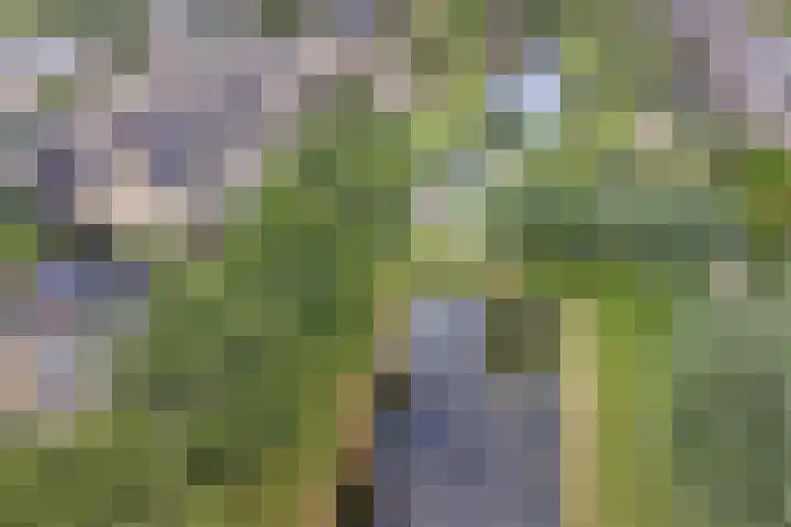 Kolgansstraat 8 Strijen thumbnail 38