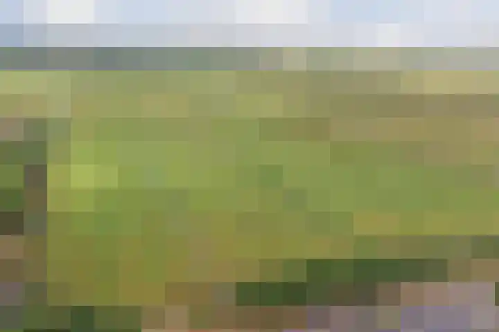 Kolgansstraat 8 Strijen thumbnail 39