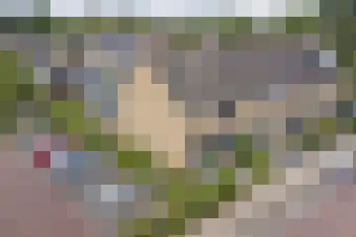 Kolgansstraat 8 Strijen thumbnail 5