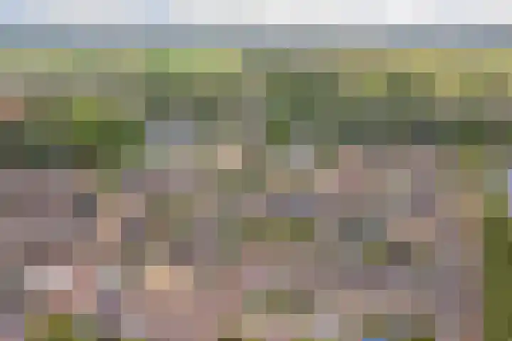 Kolgansstraat 8 Strijen thumbnail 6