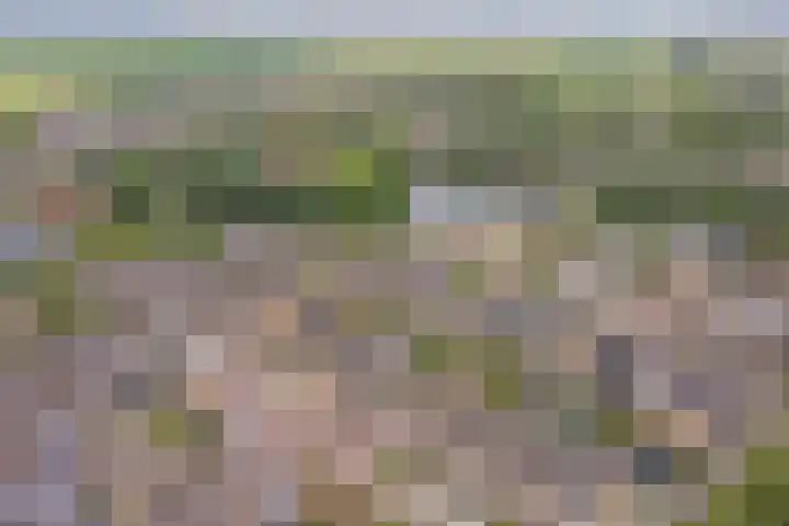 Kolgansstraat 8 Strijen thumbnail 9