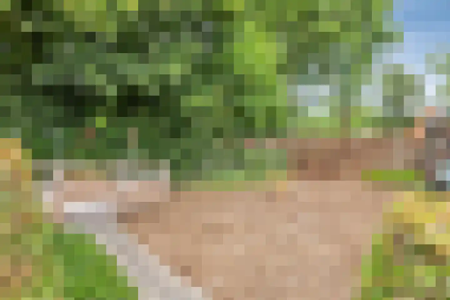 Kolhornerkade 15 Kolhorn thumbnail 64