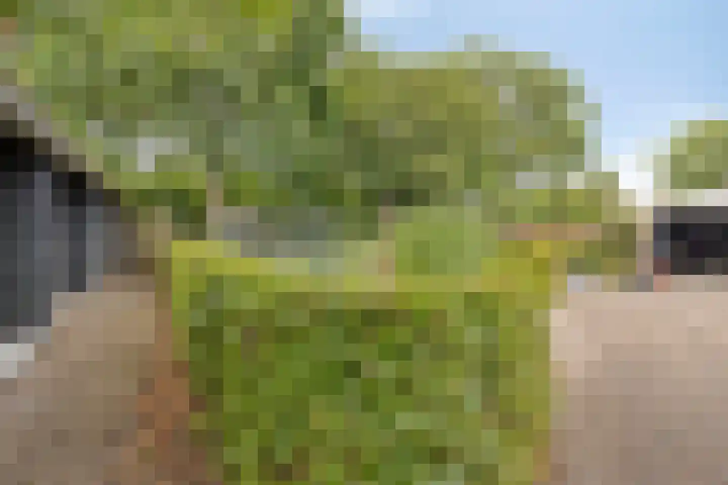 Kolhornerkade 15 Kolhorn thumbnail 67