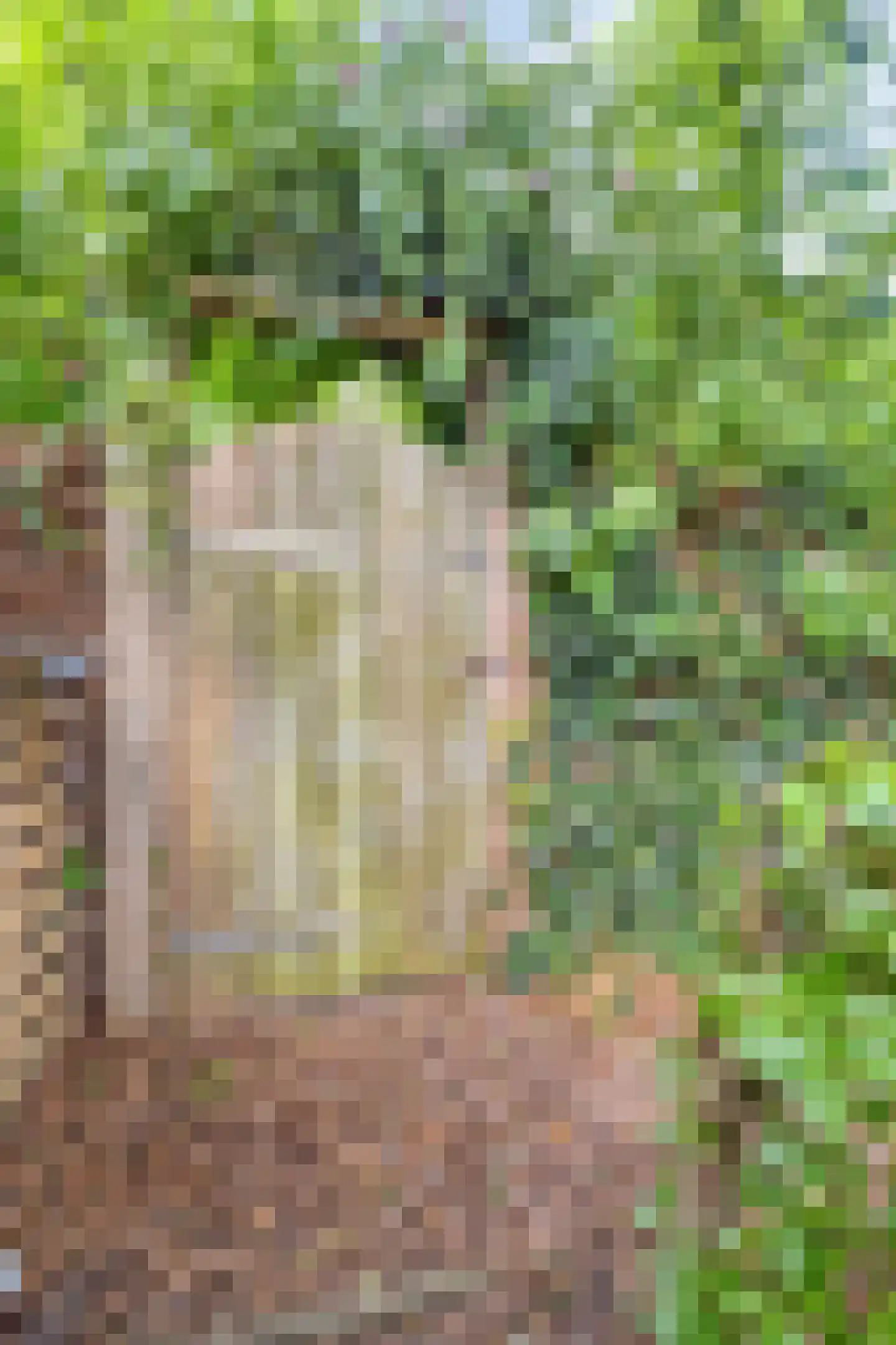 Kolhornerkade 15 Kolhorn thumbnail 71