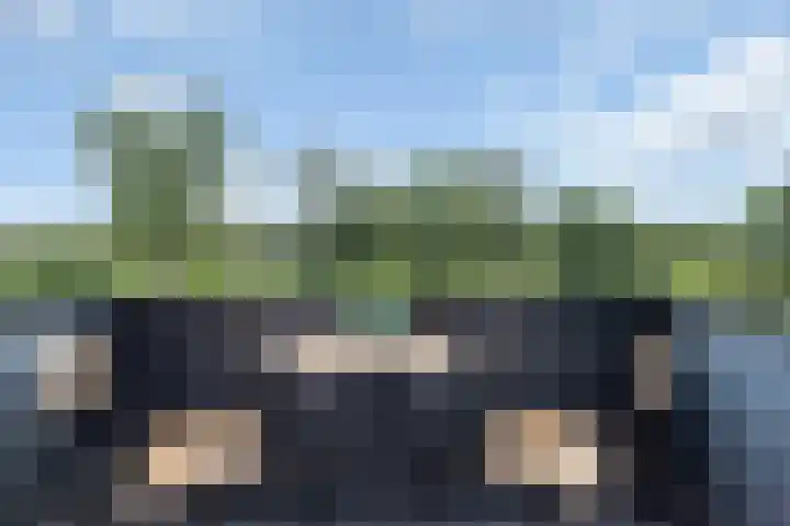 Kolhornseweg 150 Hilversum thumbnail 17