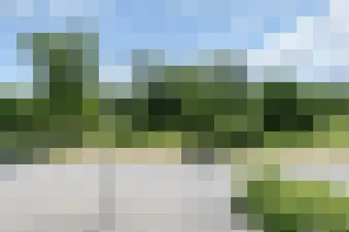 Kolhornseweg 150 Hilversum thumbnail 18