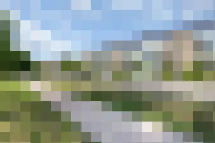 Kolhornseweg 150 Hilversum thumbnail 19