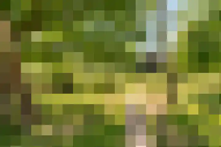 Kolhornseweg 150 Hilversum thumbnail 20