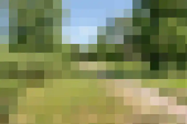 Kolhornseweg 150 Hilversum thumbnail 21