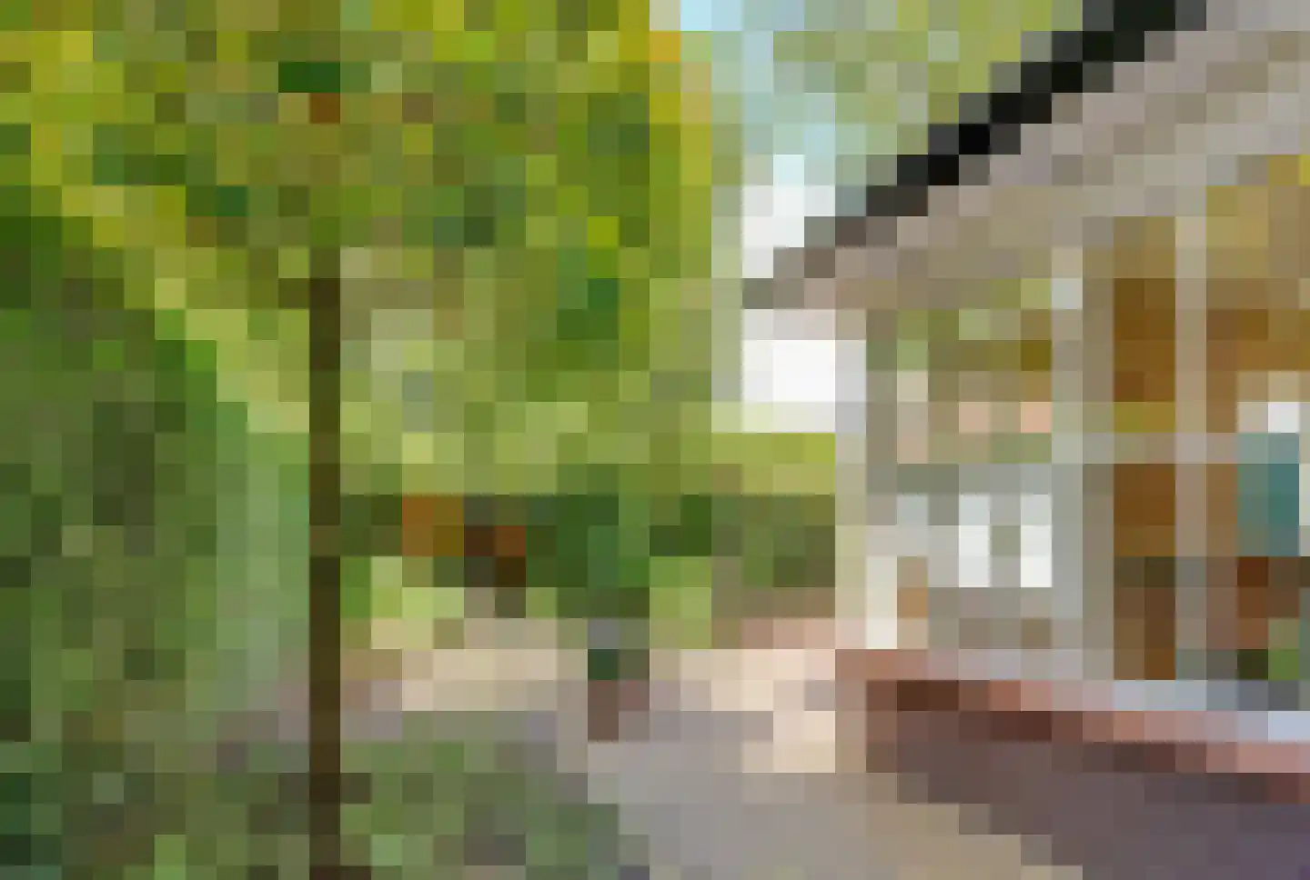 Kolhornseweg 16 Hilversum thumbnail 53